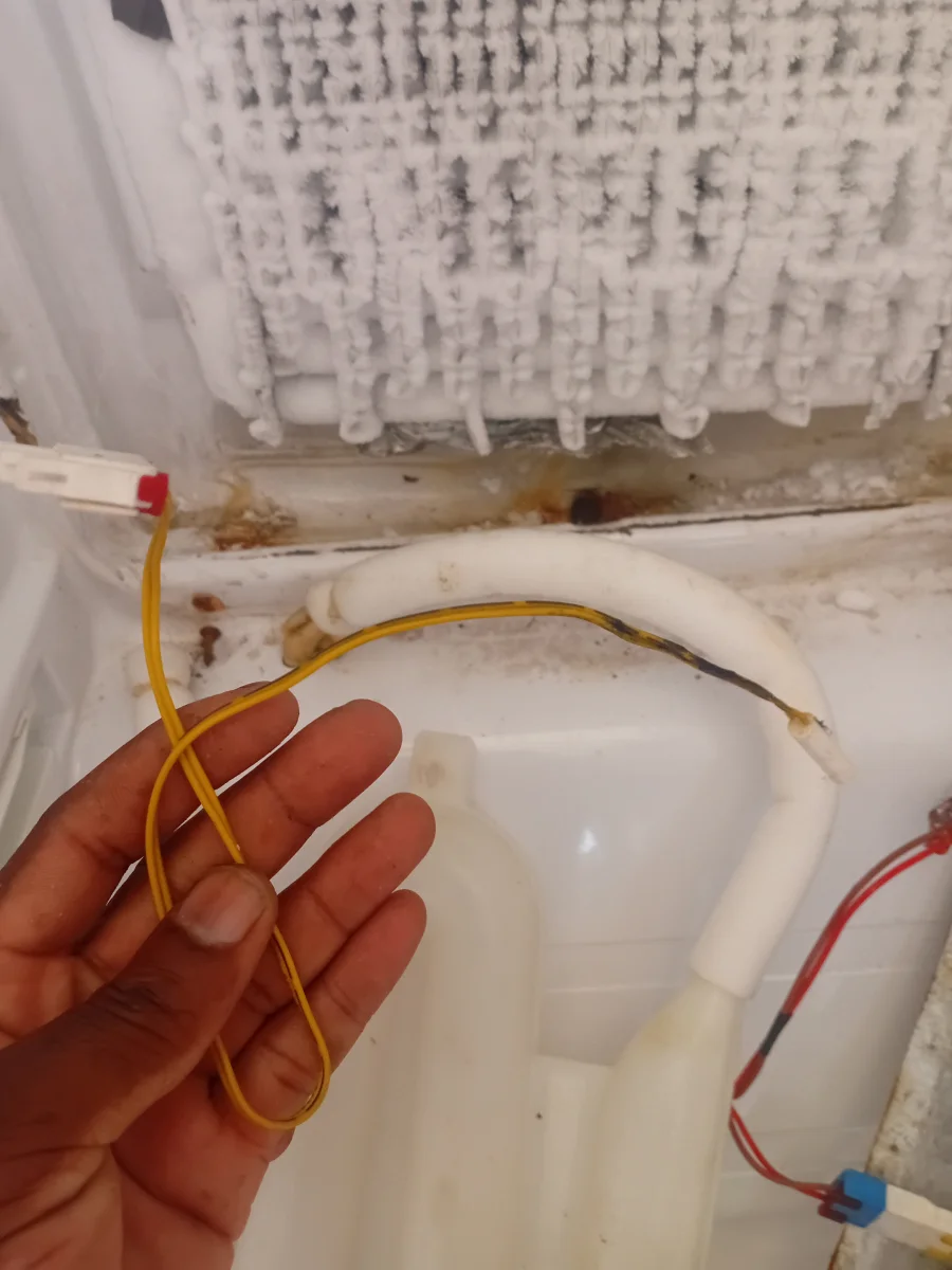 Fridge repair gallery image 2